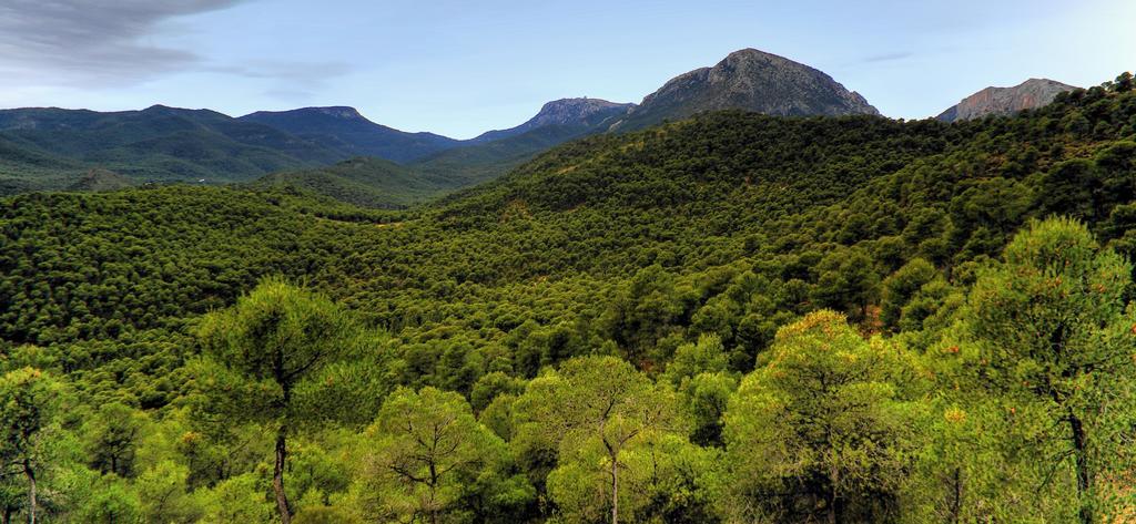 Camping Totana Park Экстерьер фото